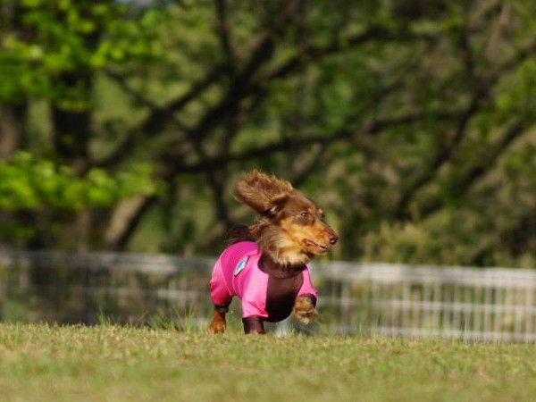 c0028792_1582642.jpg
