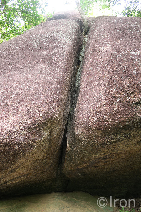 c0173794_17291301.jpg