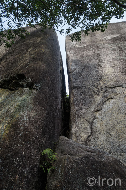 c0173794_17291984.jpg