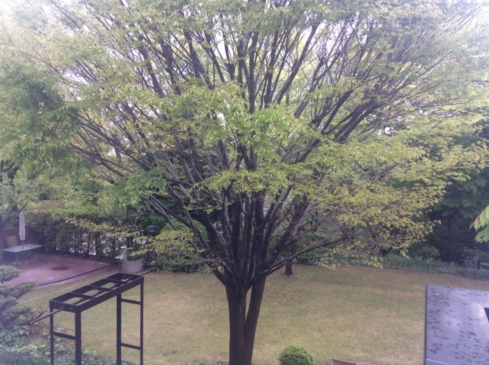 f0268294_15052734.jpeg