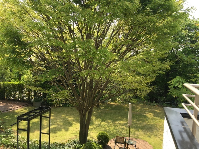 f0268294_15070094.jpeg
