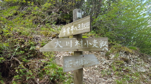 a0143296_04515670.jpg