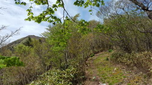 a0143296_05024855.jpg