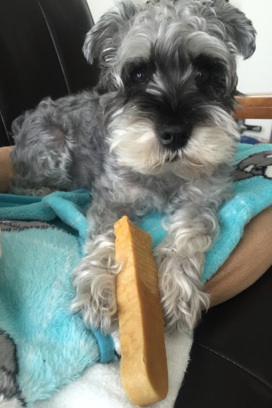 b0188998_19001611.jpeg