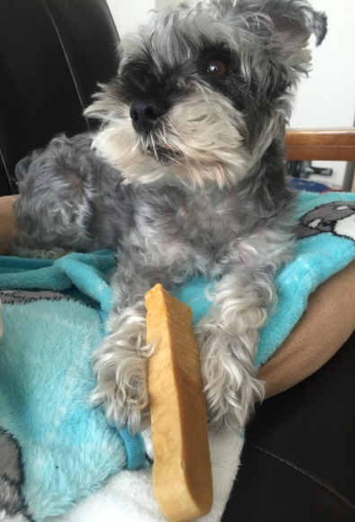 b0188998_19002840.jpeg