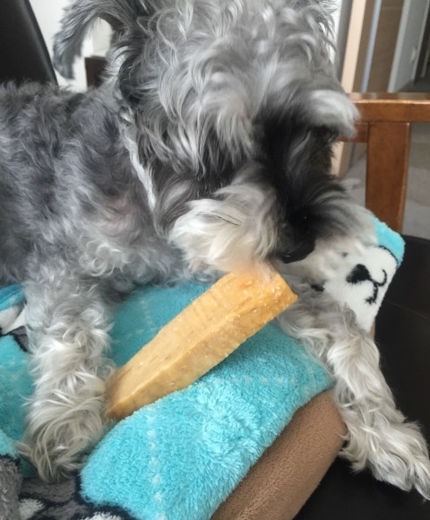 b0188998_19004039.jpeg