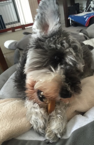 b0188998_19010720.jpeg