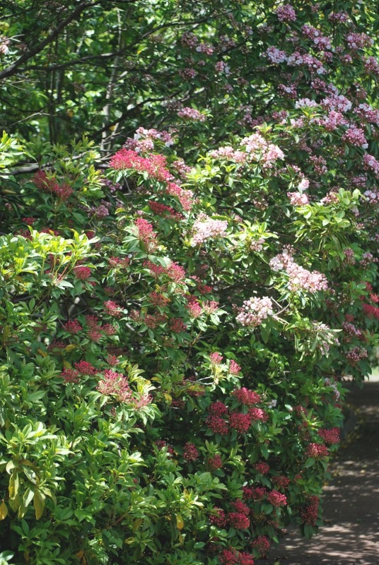 e0025300_17302710.jpg