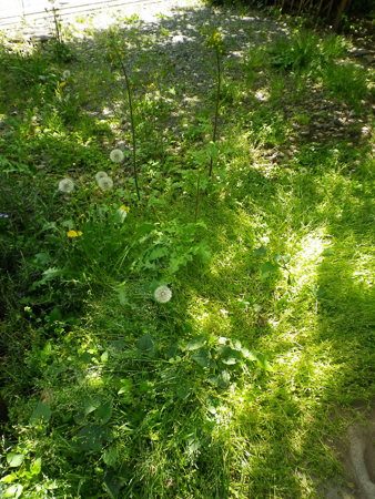 f0239100_22462311.jpg