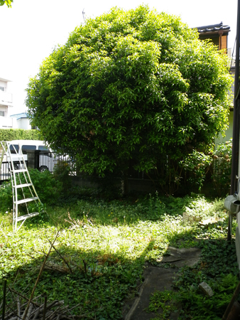 f0239100_2317334.jpg