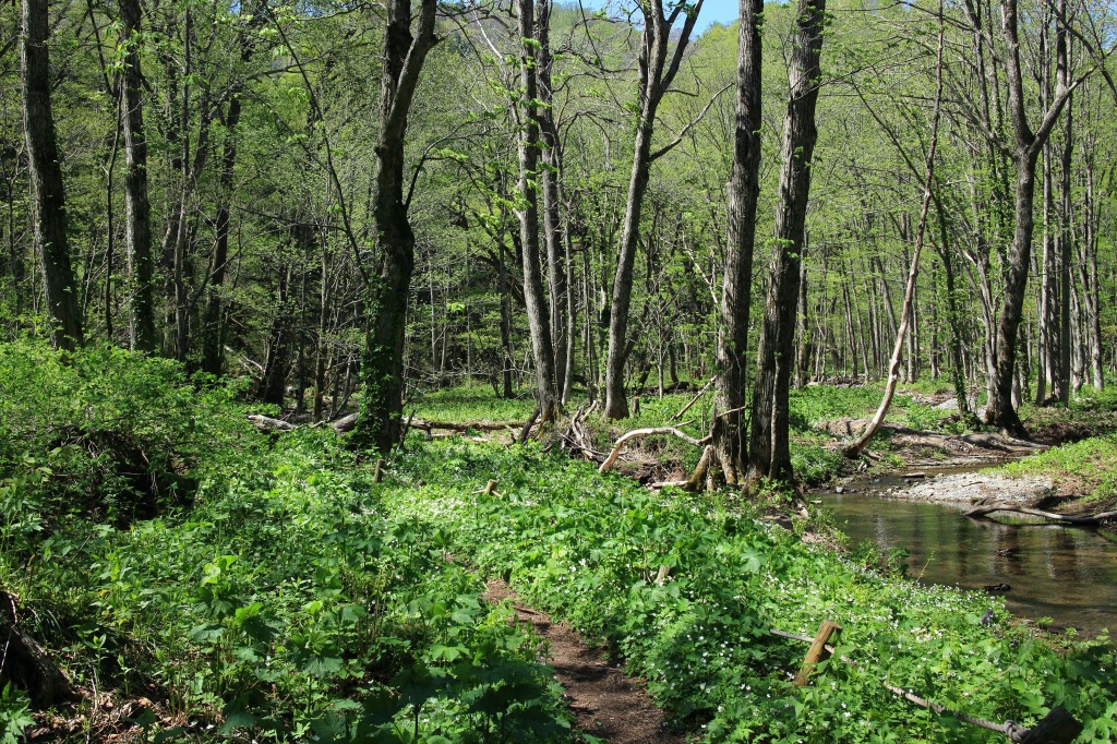 b0050305_1945999.jpg