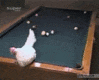 c0050810_19318.gif