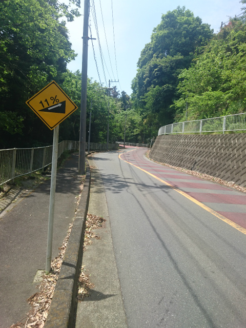 f0100911_21393697.jpg