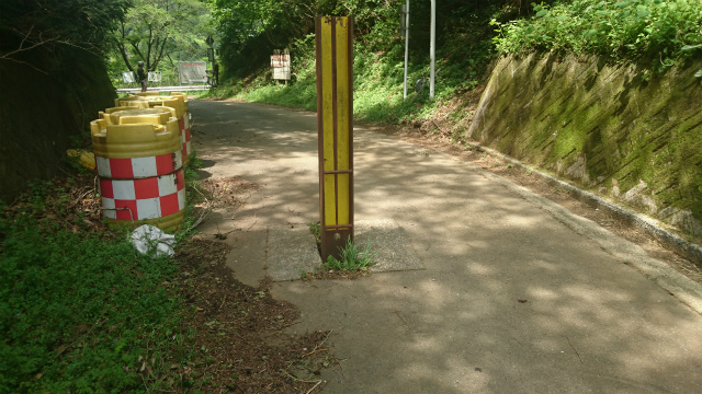 f0100911_21395858.jpg