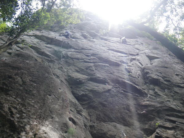 d0006512_08043669.jpg