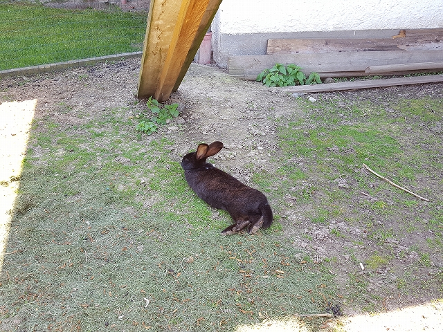 c0167813_3291830.jpg