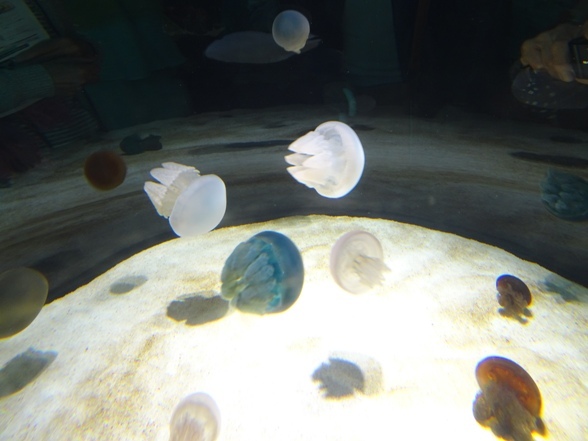 e0033713_17285719.jpg
