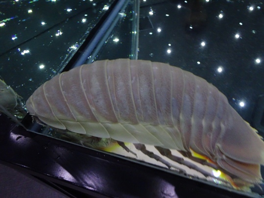 e0033713_17301837.jpg
