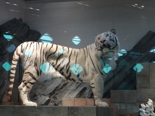 e0033713_17432842.jpg