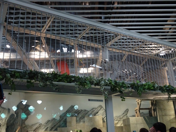 e0033713_17441684.jpg