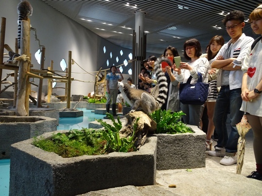 e0033713_18001356.jpg