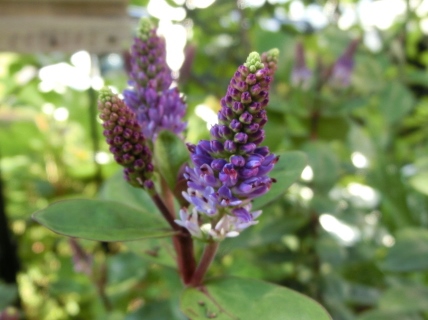c0204121_20274287.jpg
