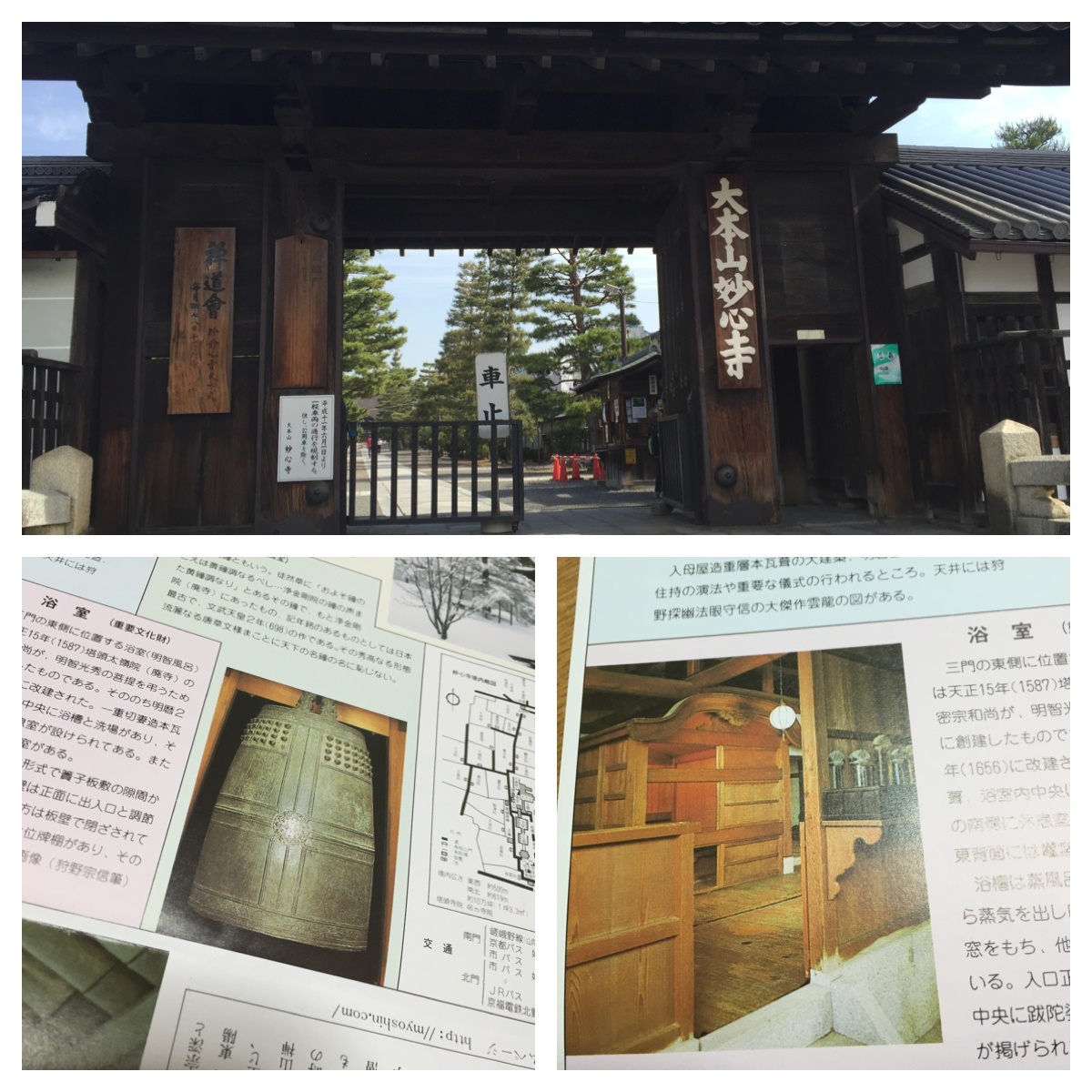 a0286228_10415051.jpeg