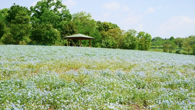 f0231829_21153703.jpg