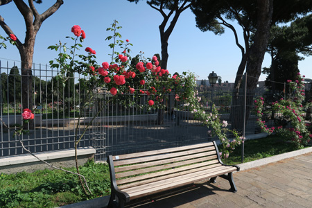 f0234936_816580.jpg