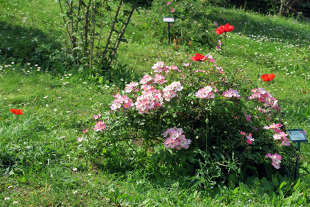 f0234936_818757.jpg