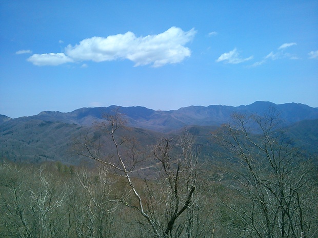 d0107938_12502315.jpg