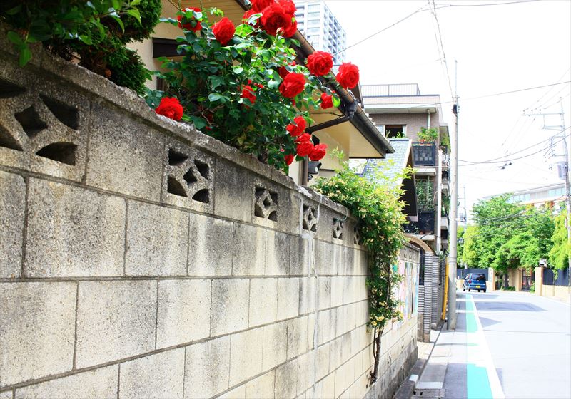 c0229539_962990.jpg