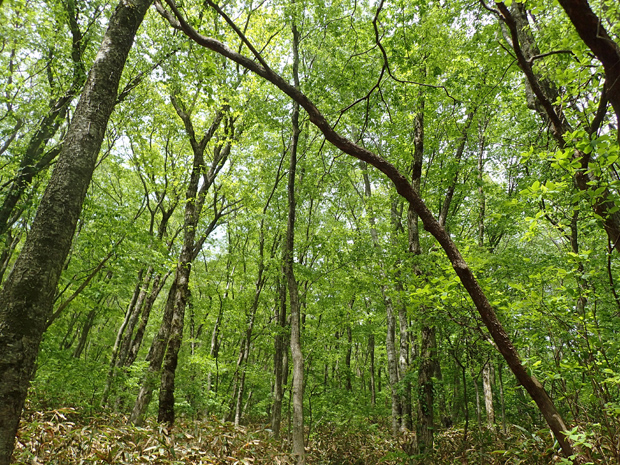 f0214649_3552239.jpg