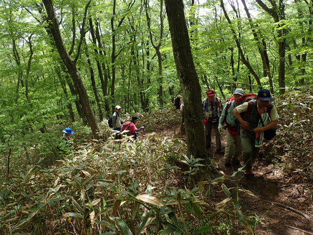 f0214649_4105849.jpg