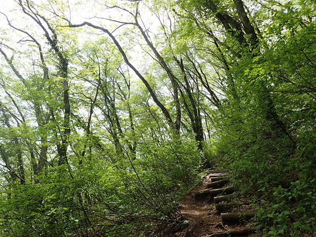 f0214649_4135947.jpg
