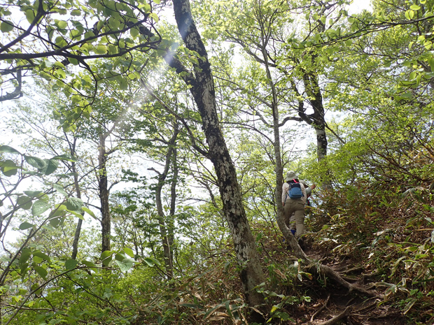 f0214649_4171978.jpg