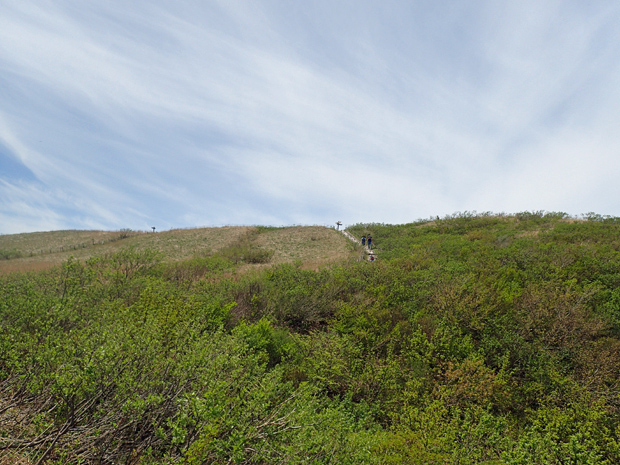 f0214649_4222796.jpg