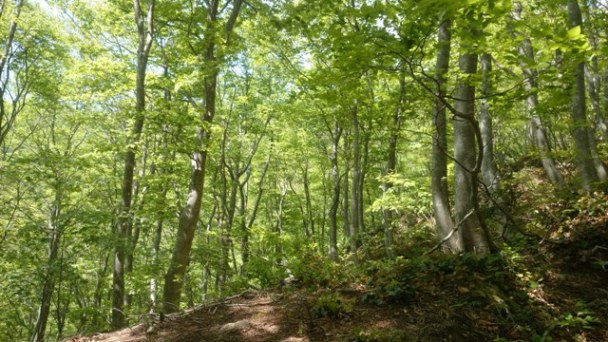 b0148050_215525100.jpg