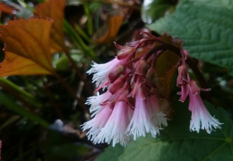 b0148050_2155459.jpg