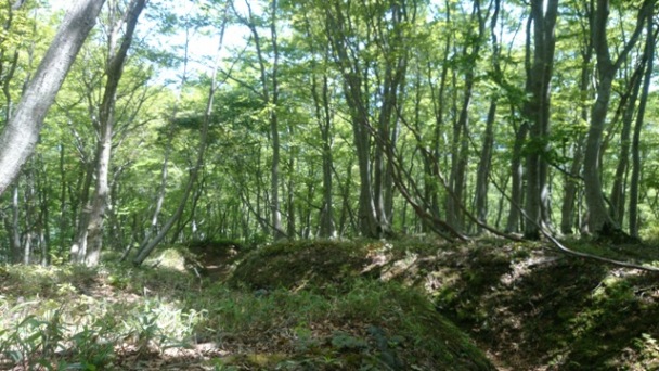 b0148050_22104195.jpg