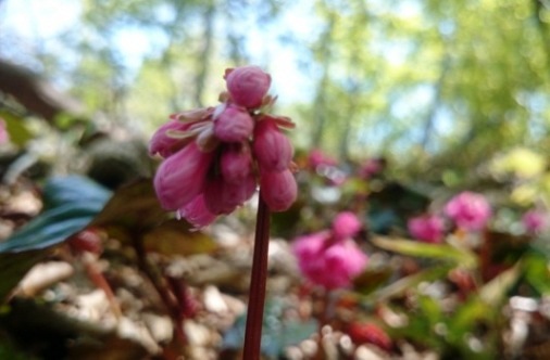 b0148050_2265847.jpg
