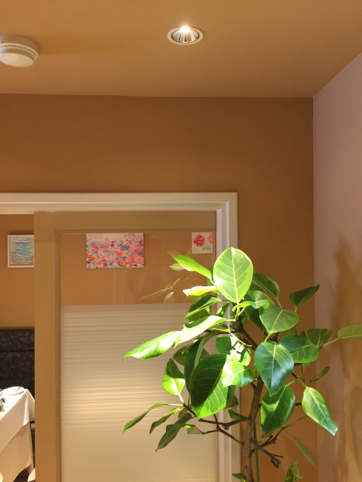 c0326156_04074493.jpg