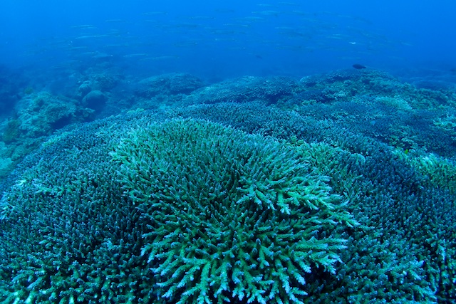 b0062363_17541190.jpg