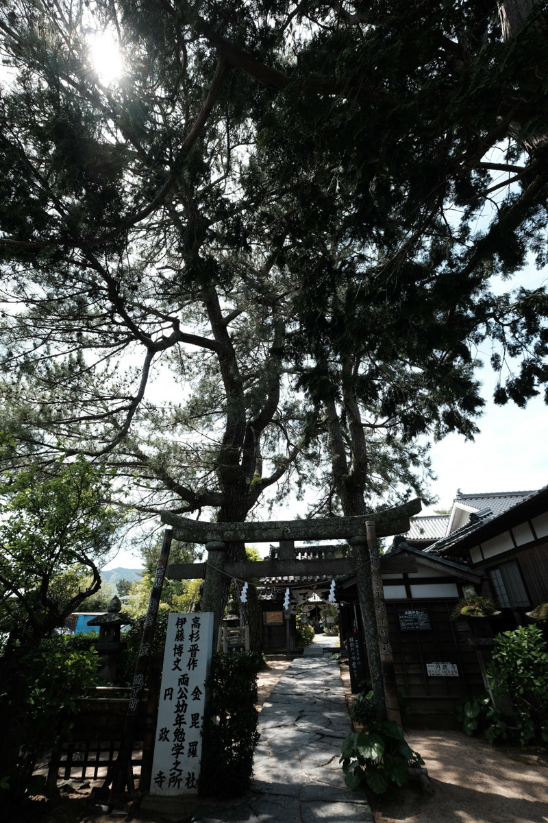 c0084666_23284064.jpg