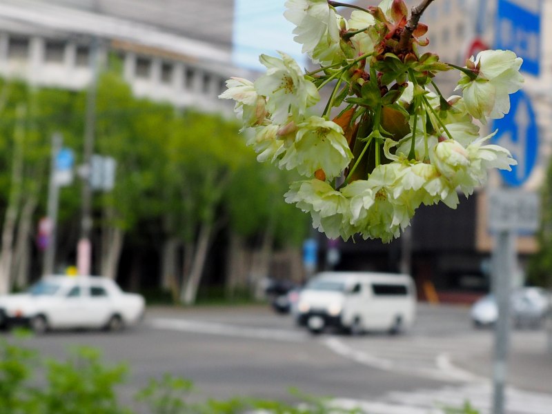 c0183777_7412617.jpg