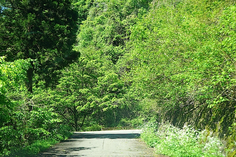 b0057679_7283839.jpg