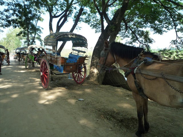 b0287088_17071156.jpg