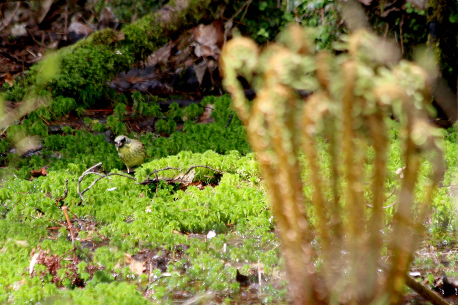 a0127090_21205487.jpg