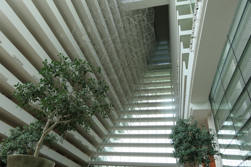 e0204891_20294553.jpg