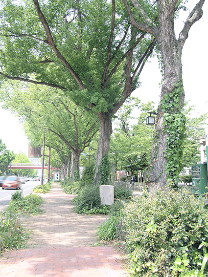 d0279493_22225582.jpg